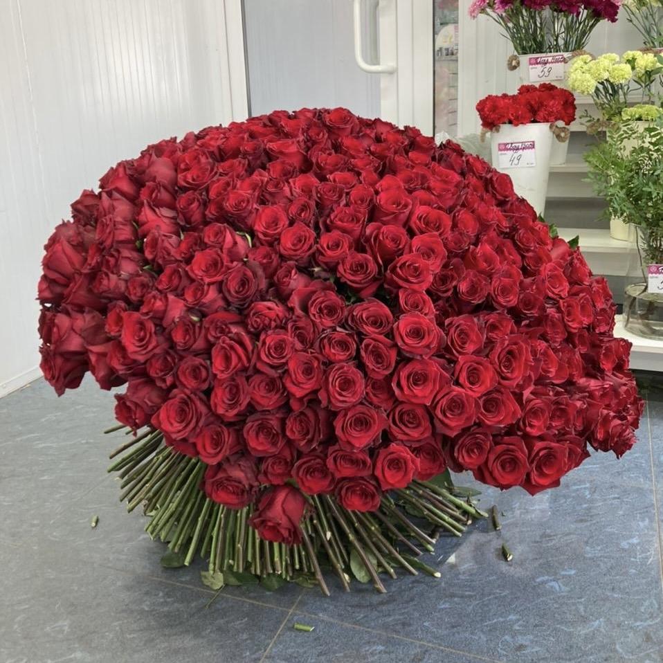 Букеты из красных роз 80 см (Эквадор) №: 189072
