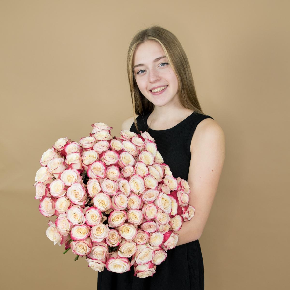 Розы красно-белые (40 см) Эквадор код товара: 468