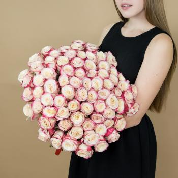 Розы красно-белые 75 шт 40 см (Эквадор) (код: 83148)