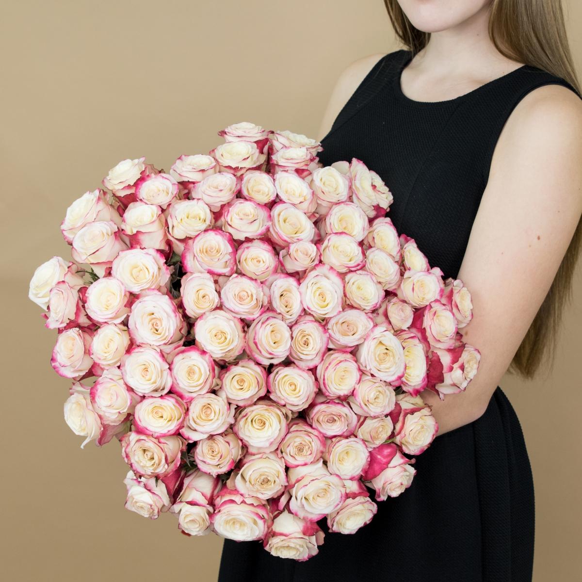 Розы красно-белые 101 шт. (40 см) (код  83304)
