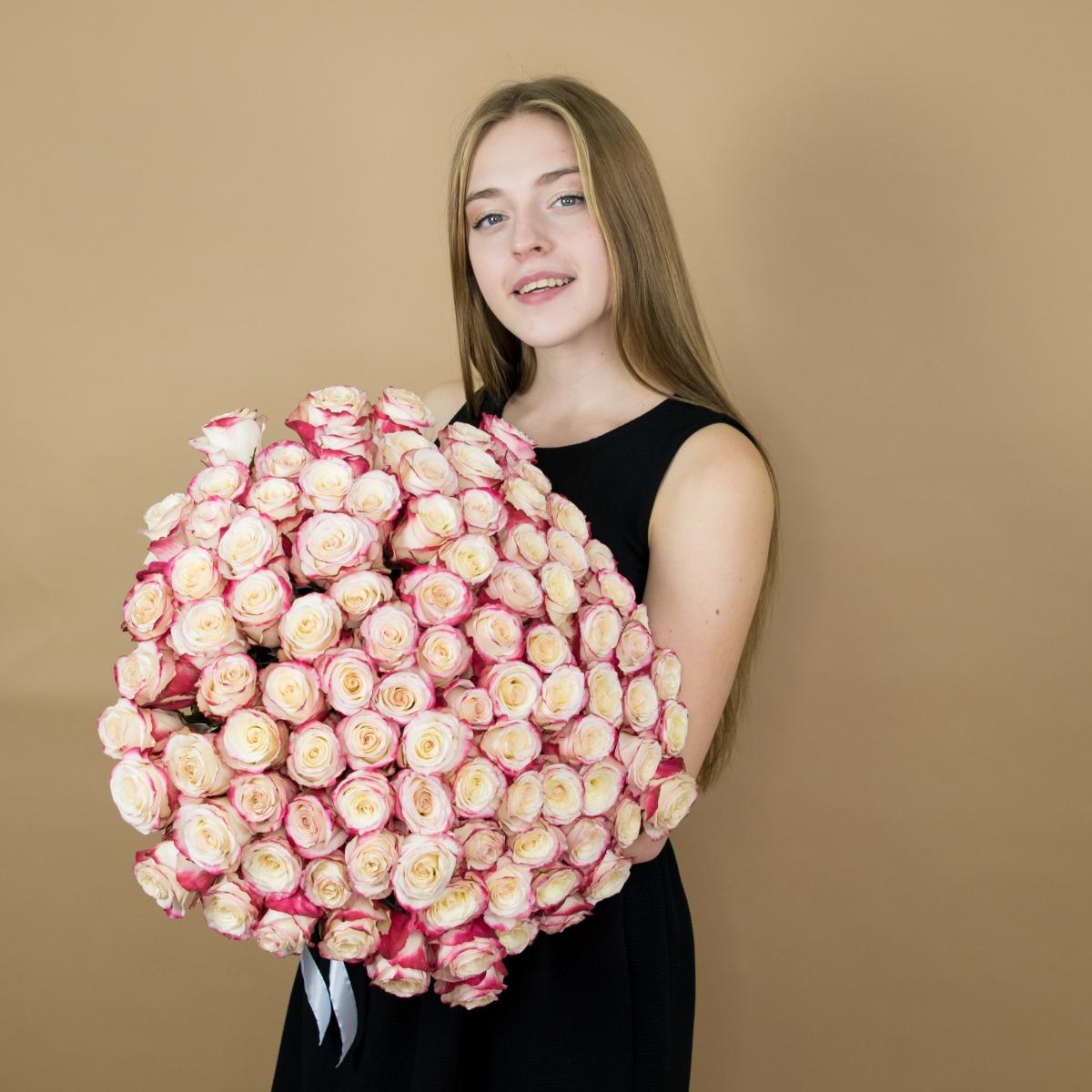 Розы красно-белые 101 шт. (40 см) (код  83304)